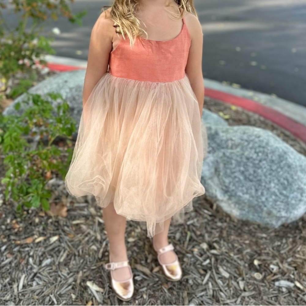 Darling tulle dress EUC